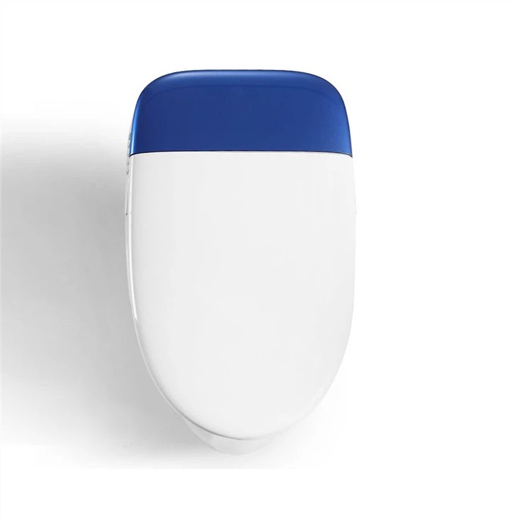 smart toilet bidet