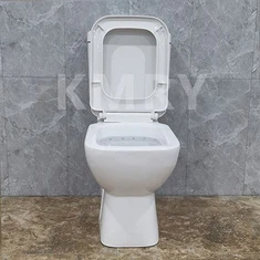 Luksus toilet